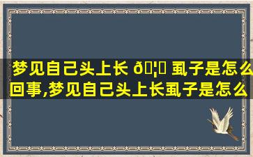 梦见自己头上长 🦅 虱子是怎么回事,梦见自己头上长虱子是怎么回事周公 🌸 解梦